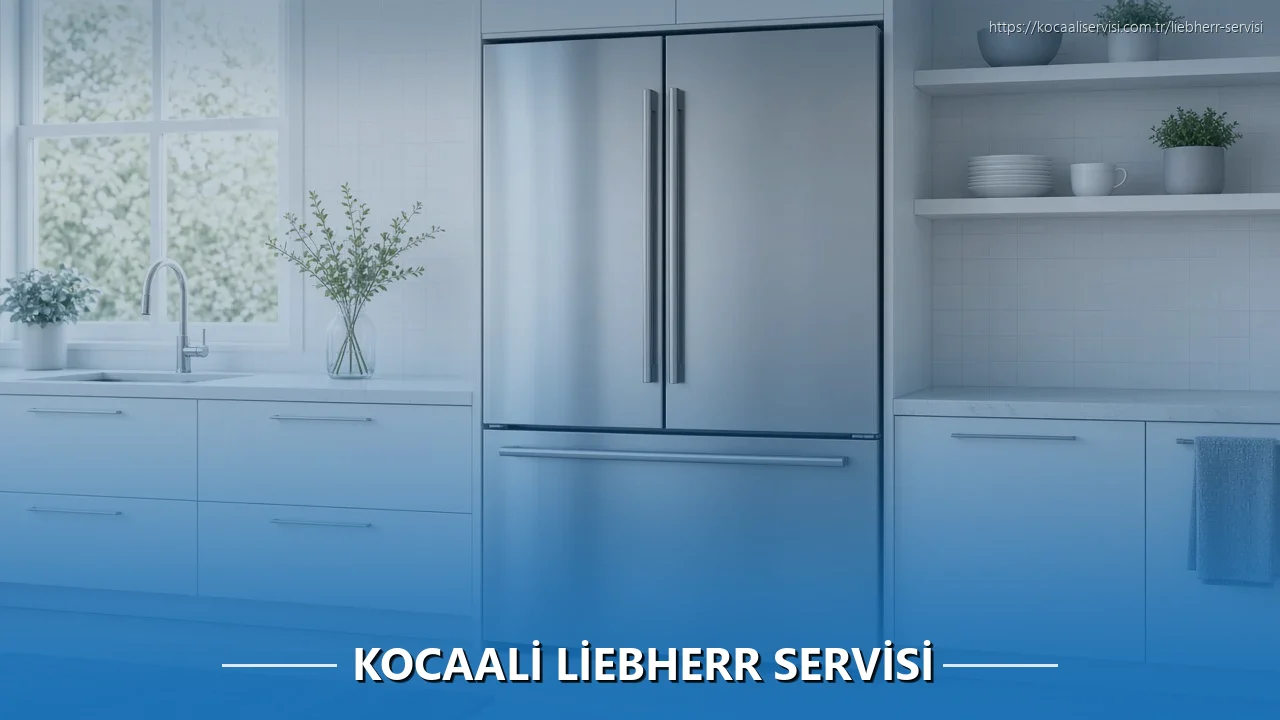Kocaali Liebherr Servisi